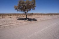 South Africa Landscape with Azure Sky