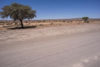 South Africa Landscape With Azure Sky