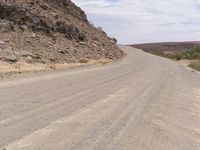 a dog is walking on the road near the rocks and trees at the edge of the desert