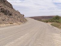 a dog is walking on the road near the rocks and trees at the edge of the desert