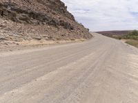 a dog is walking on the road near the rocks and trees at the edge of the desert