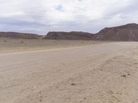 a cow walks across a deserted empty desert road while the vehicle travels in front of him