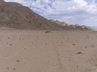 a desert area with many rocks and grass and trees in it and the sky is blue