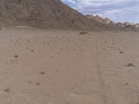 a desert area with many rocks and grass and trees in it and the sky is blue