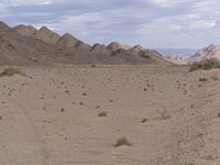 a desert area with many rocks and grass and trees in it and the sky is blue