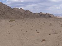 a desert area with many rocks and grass and trees in it and the sky is blue