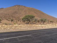 a empty road with a large hill behind it, and a line of bushes in the middle of it