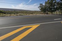 a stop sign painted with yellow paint is on the side of the road near a tree