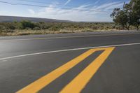 a stop sign painted with yellow paint is on the side of the road near a tree