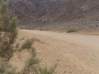 an elephant is walking down a desert road on its hind foot with mountains in the background