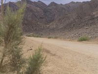 an elephant is walking down a desert road on its hind foot with mountains in the background