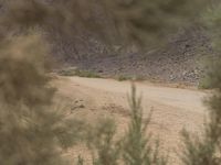 a motorcyclist rides through the desert towards a trail with mountain backdrop area