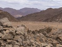 some rocks and animals standing in the desert grass and mountains in the background with water