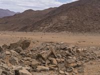 some rocks and animals standing in the desert grass and mountains in the background with water