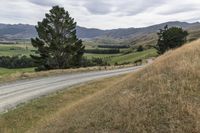 Off-Road Adventure: Exploring the South Island's Gravel Roads