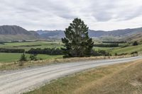 Off-Road Adventure: Exploring the South Island's Gravel Roads