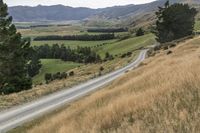 an empty rural road winding through a field to a valley and forest area in the background