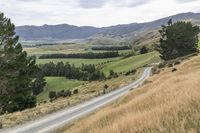 an empty rural road winding through a field to a valley and forest area in the background