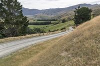 an empty rural road winding through a field to a valley and forest area in the background