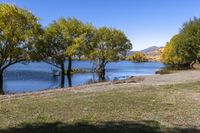 Picturesque Landscape of South Island, New Zealand (001)