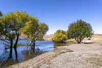 South Island, New Zealand: Water Landscape