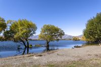 South Island, New Zealand: Water Landscape