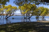 South Island New Zealand: Yellow Loch 001