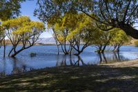 South Island New Zealand Yellow Loch 002