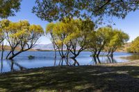 South Island New Zealand - Yellow Loch