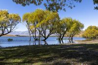 South Island, New Zealand: Yellow Loch 004