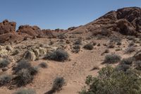 Southwest Desert Nature Road Tracks 001