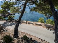 a paved road near the water and pine trees is in view from this hill top