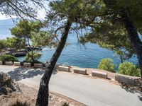 a paved road near the water and pine trees is in view from this hill top