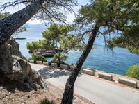 a paved road near the water and pine trees is in view from this hill top