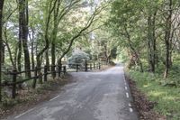 Spain: Barcelona Elevated Road in Montseny Park 003