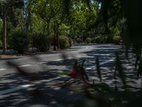 Spain's Urban Alleyway: A Shadowed Tree in the City