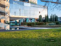 an open courtyard area has green grass, trees, and buildings on the other side