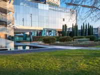 an open courtyard area has green grass, trees, and buildings on the other side