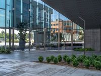 a glass enclosed courtyard area in front of an office building with a few plants on the side