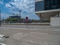 a couple of trees on a road near a building under construction in the distance, and another tree that has fallen on it