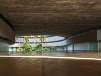 Spain City: Road, Trees, and Urban Design