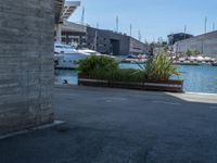 Spain's Coastal Charm: Pier, Road, and Underpass