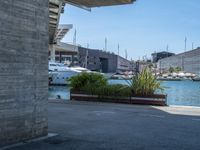 Spain's Coastal Charm: Pier, Road, and Underpass