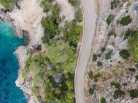 a winding road on the side of a rocky cliff by a body of water with pine forest around