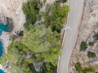 a winding road on the side of a rocky cliff by a body of water with pine forest around