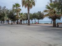 Coastline of Spain: Barcelona's Concrete Meeting the Ocean