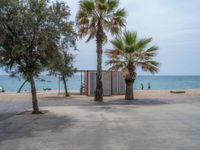 Spain's Coastline: Beaches and Palm Trees on a Gloomy Day