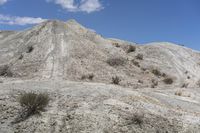 the dirt covered hillside has some plants growing on top of it, and it looks like a hill