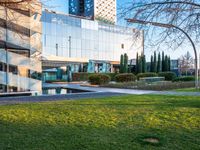 a building with large glass windows sits on a park in the background of a grassy area