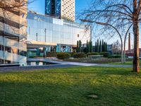 a building with large glass windows sits on a park in the background of a grassy area